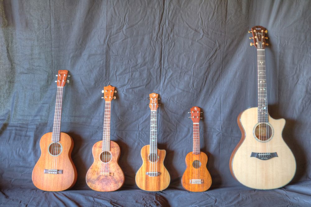 uke & Co